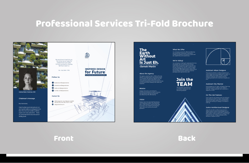 professional-services-brochure-10-01