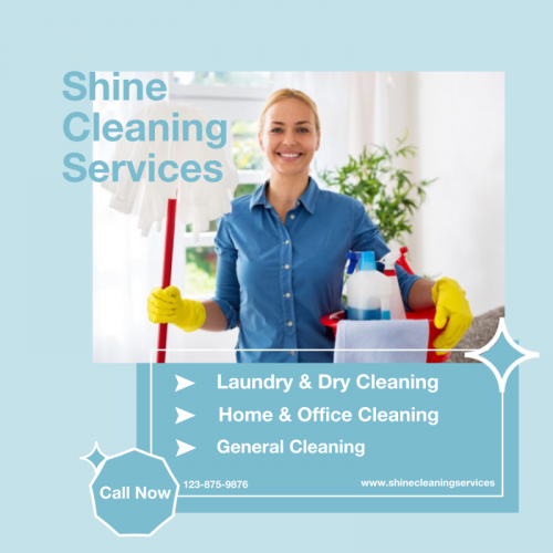 Shine Cleaning Service (800x800)