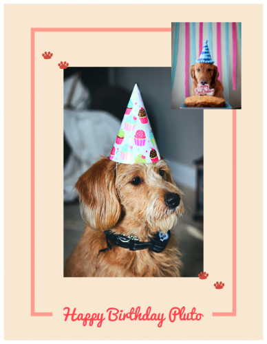 Happy Birthday Pluto  Photo Collage (8.5x11) 