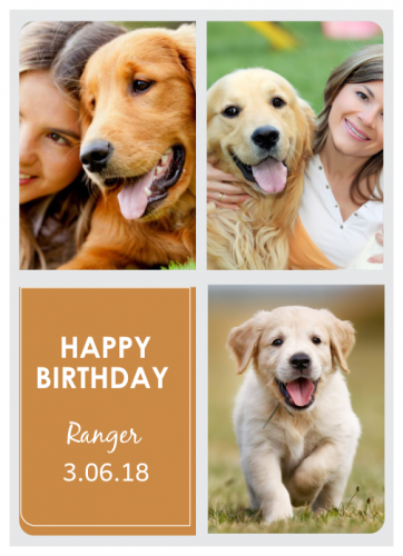 Happy Birthday Ranger Photo Collage (5x7) 