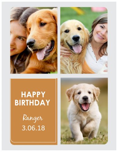 Happy Birthday Ranger Photo Collage (8.5x11) 