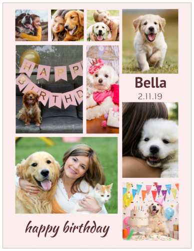 Happy Birthday Bella Photo Collage (8.5x11) 