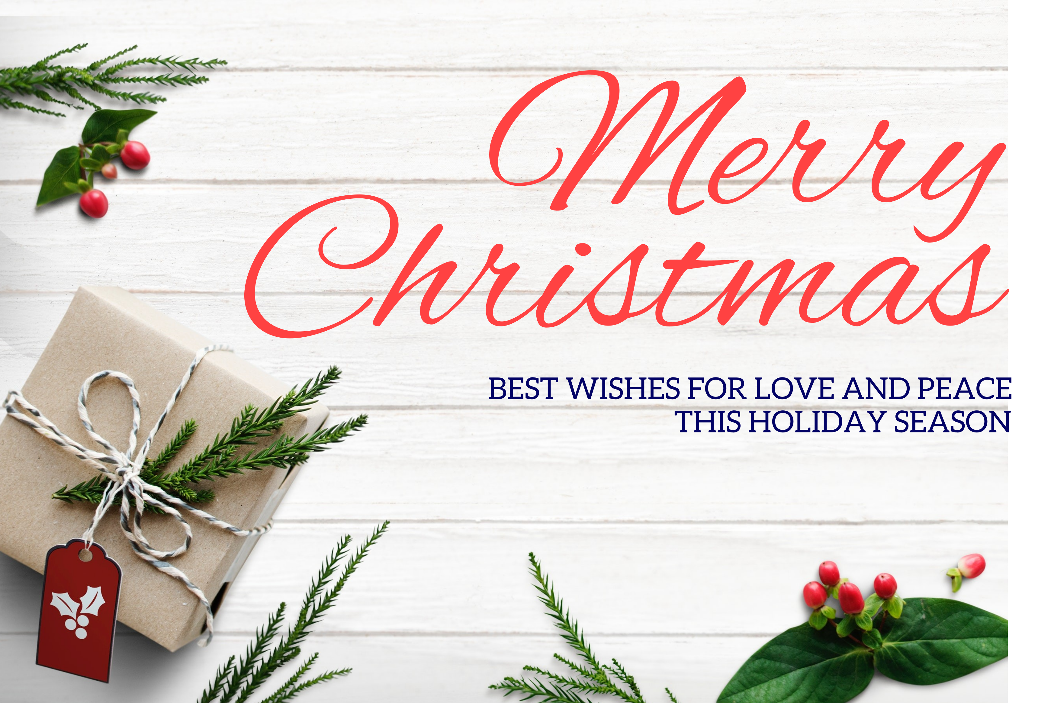 Chistmas Festival Banner 